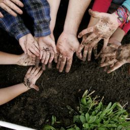 Journée de la Terre : on continue d&rsquo;agir !